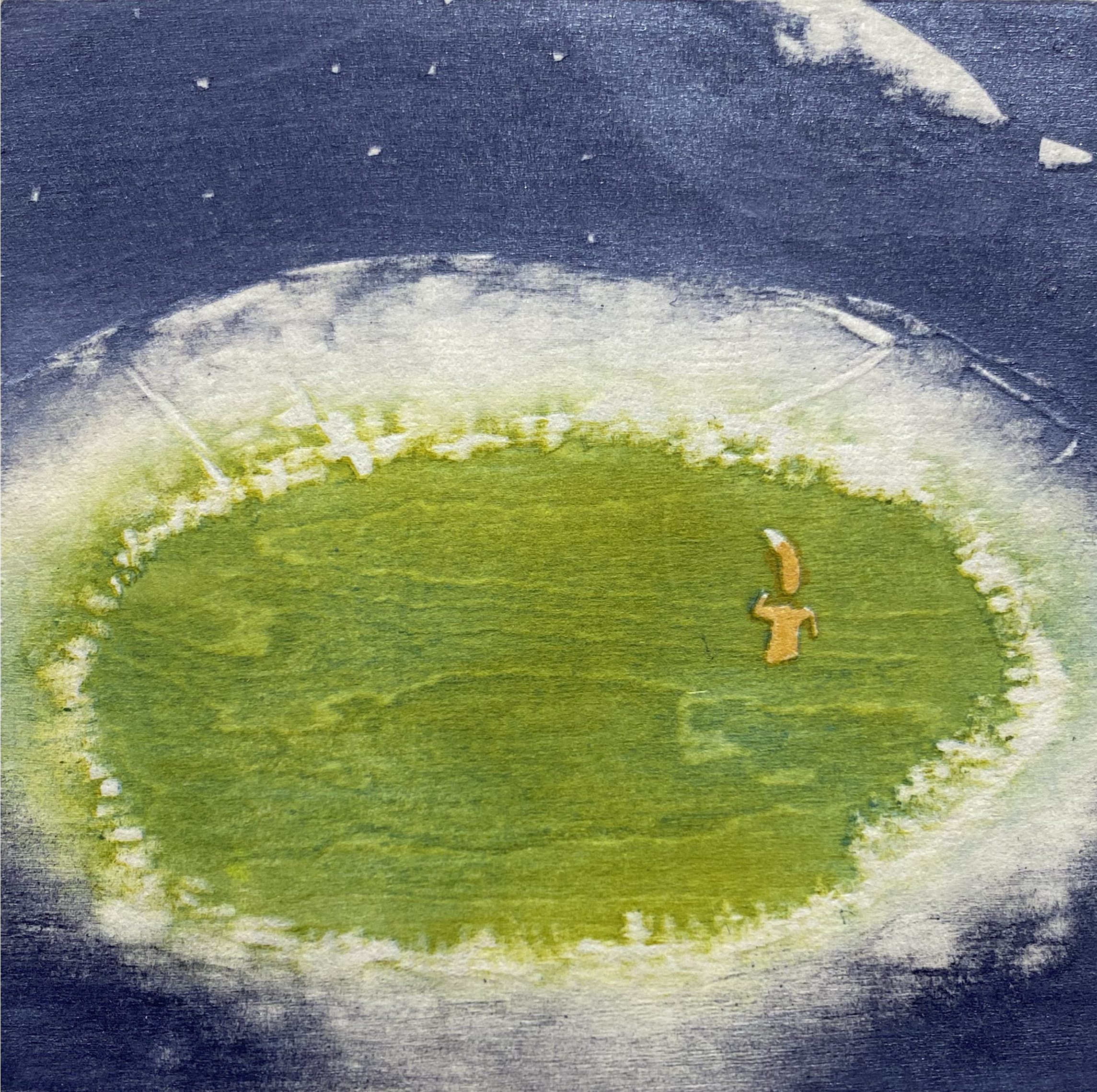 Floating Moss 1