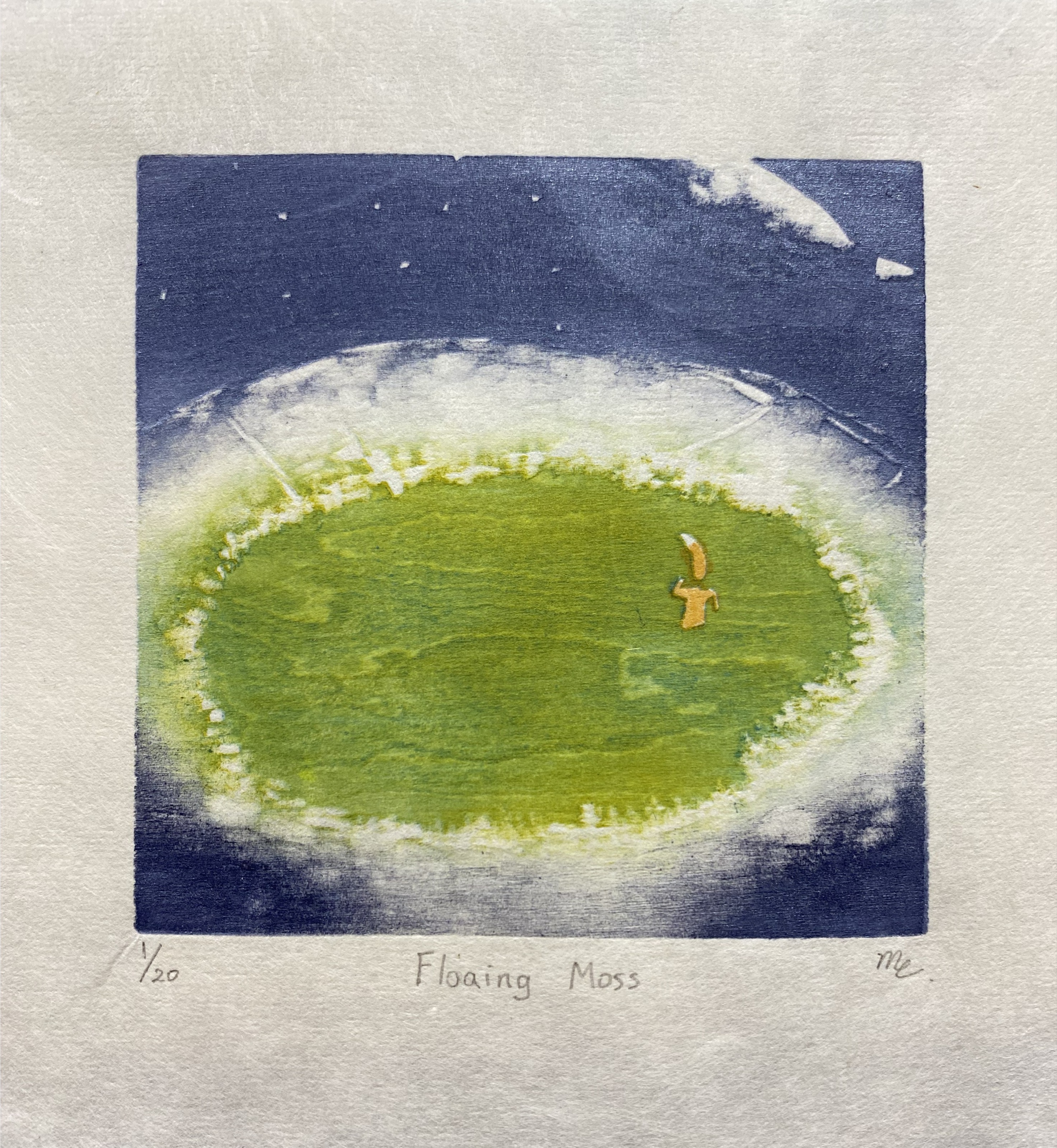 Floating Moss 2