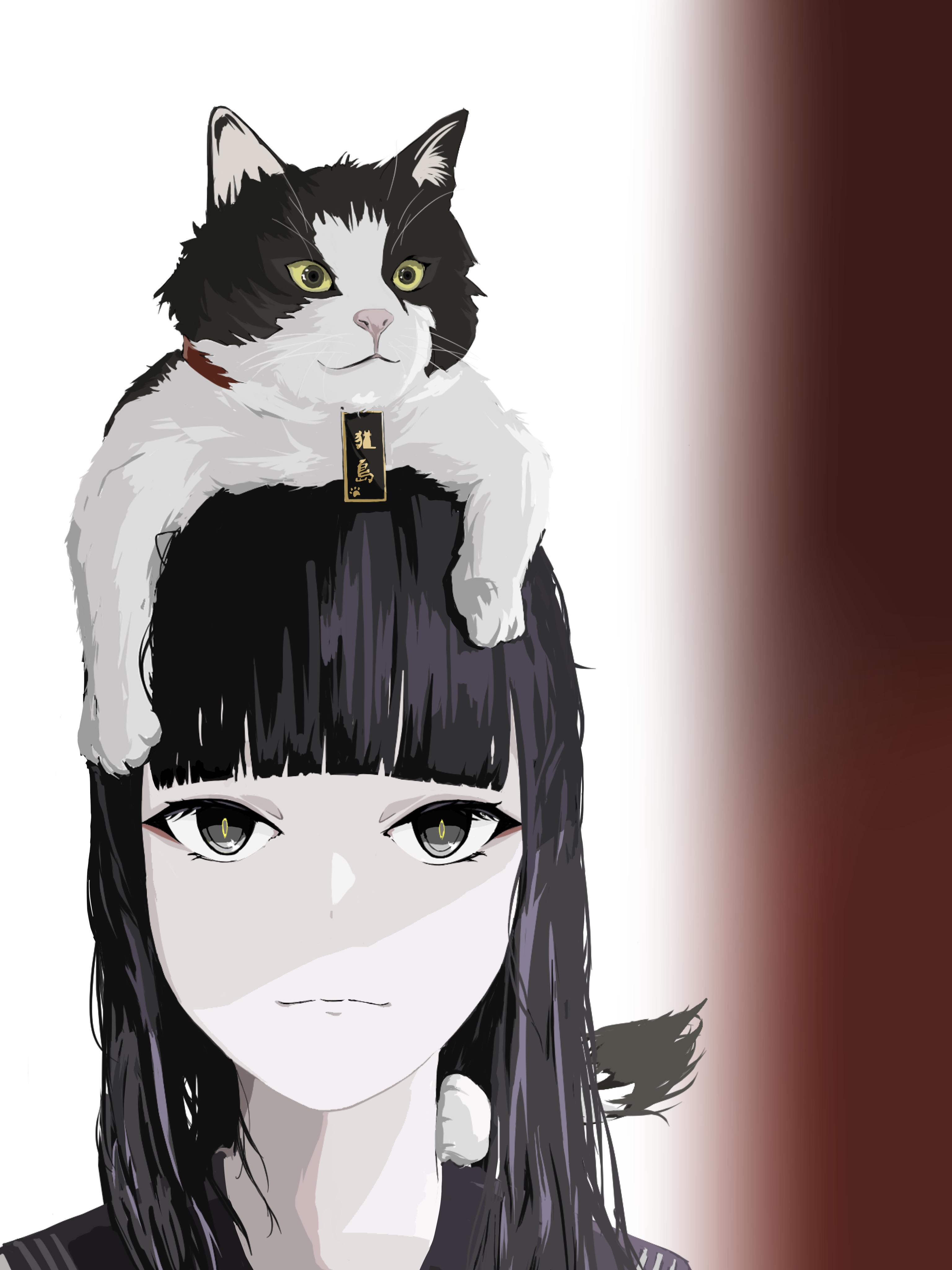 頭ねこ