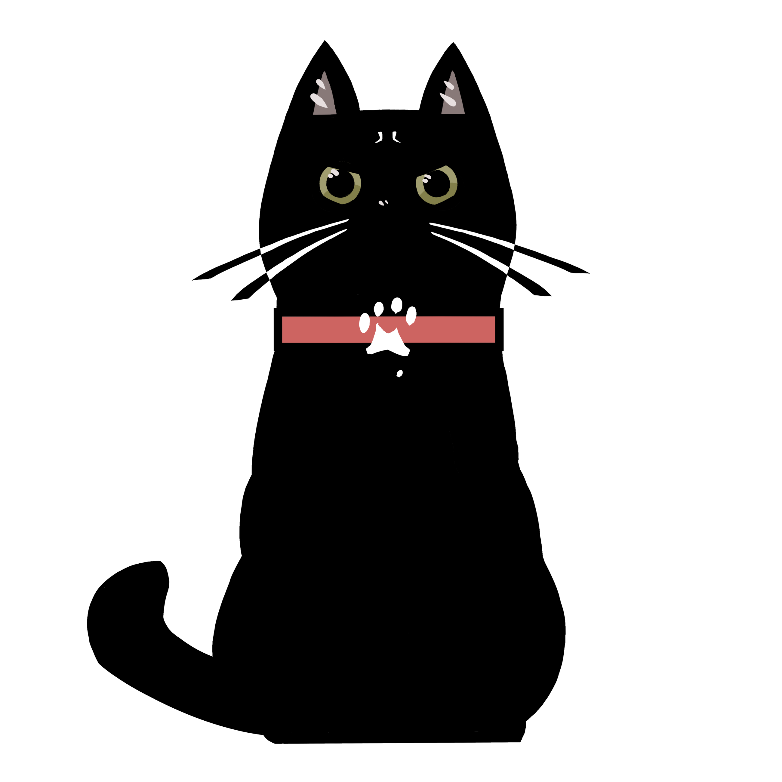 黒猫 1